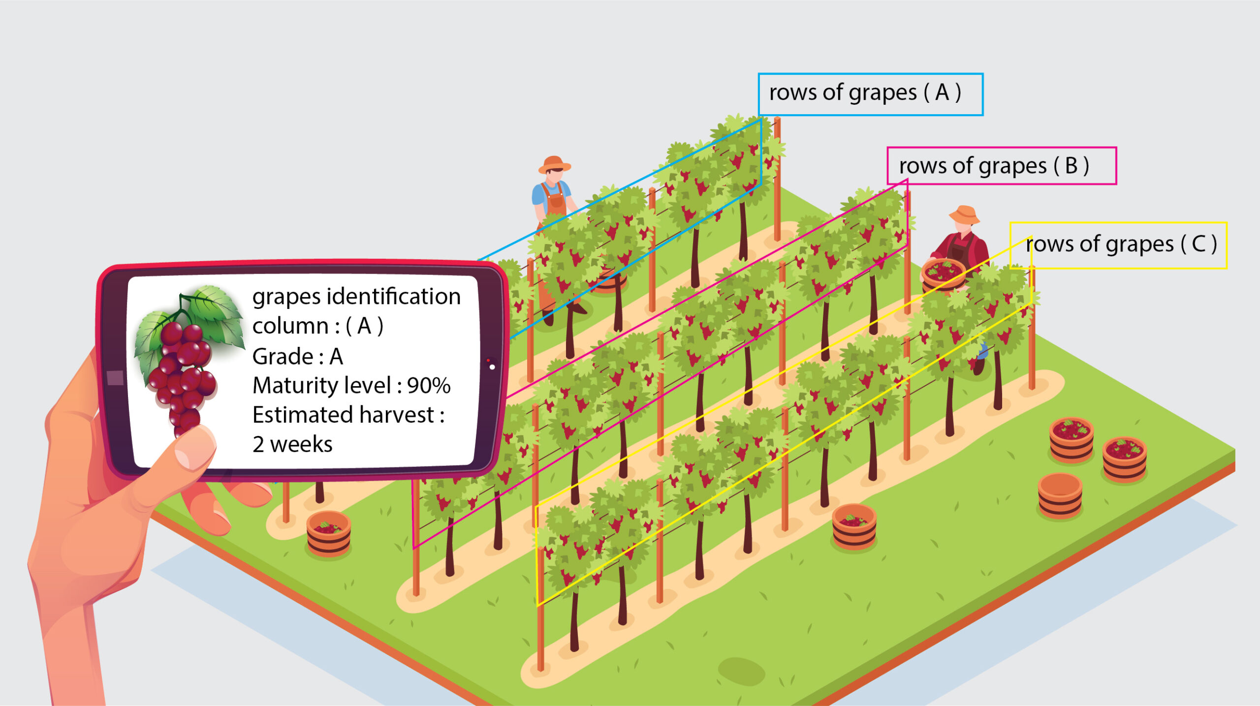 Agriculture